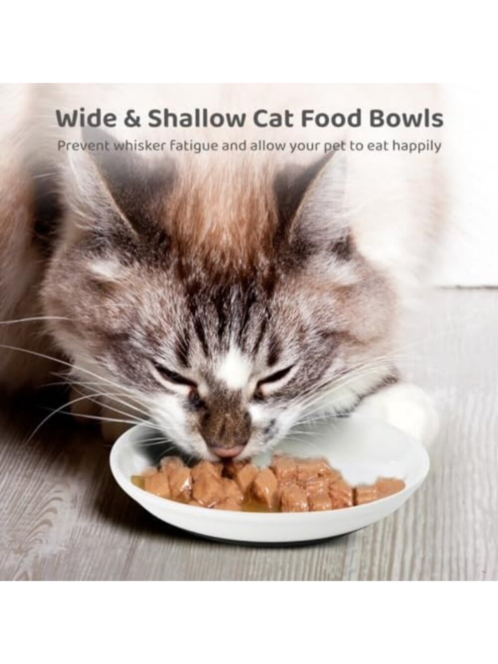 10 Pack Ceramic Cat Bowls - Wide Shallow Dishes, Non-Slip Bottom, No Whisker - Picture 6 of 7